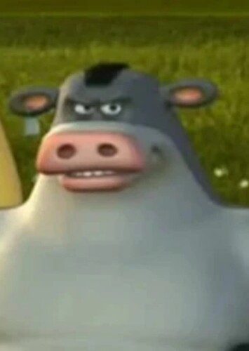 Bud the Jersey Cow
