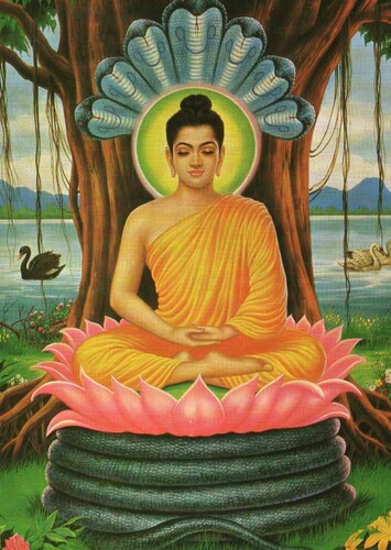 Buddha