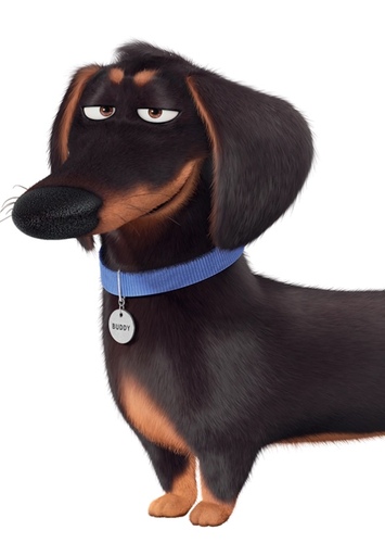 Buddy