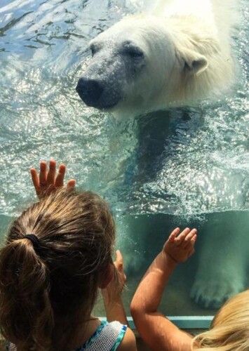 Buffalo Zoo
