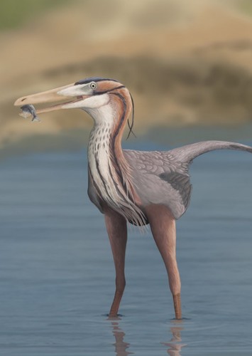 Buitreraptor