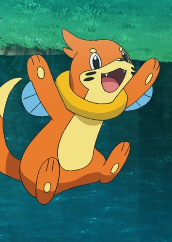 Buizel (Japanese Dub)