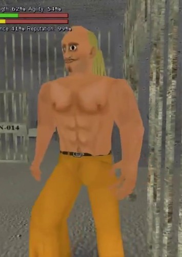 Bulk Bogan
