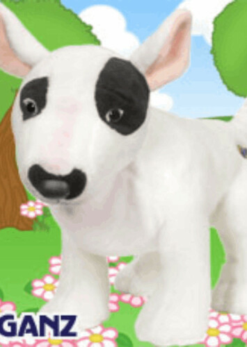 Bull Terrier