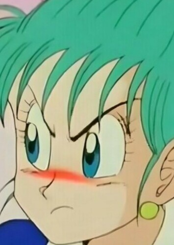 Bulma Briefs