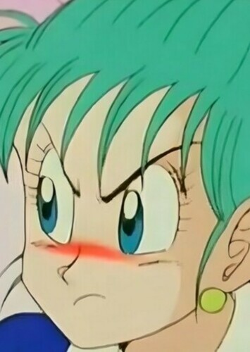 Bulma Briefs