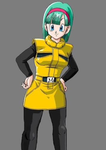 Bulma Briefs