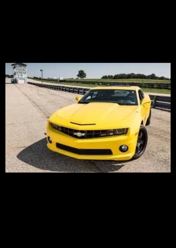 Bumblebee