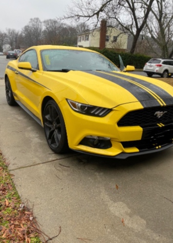 Bumblebee