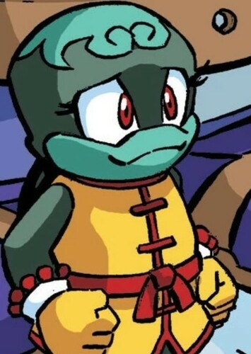 Bunker the Tortoise