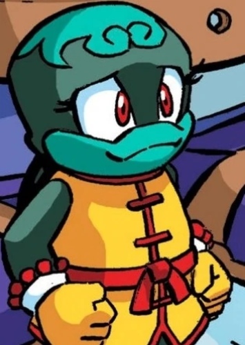 Bunker the Tortoise