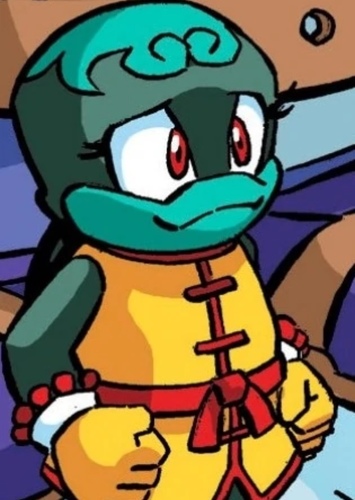 Bunker the Tortoise