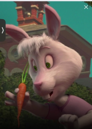 Bunny Wunny