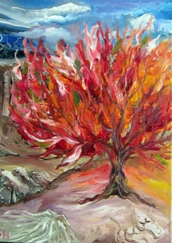 Burning Bush