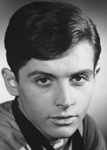 Burt Ward