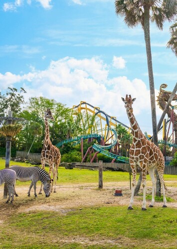 Busch Gardens Tampa Bay