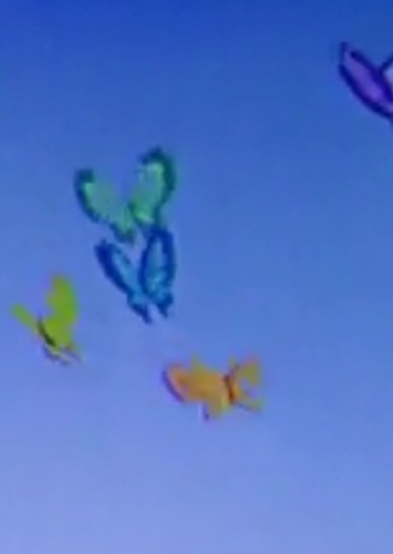 Butterflies