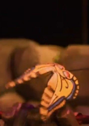 Butterfly 1