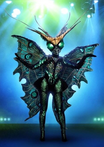 Butterfly