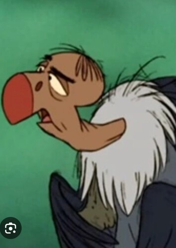 Buzzie The Vulture