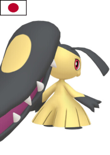 Caddy's Mawile (Japanese)