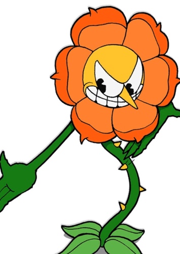 Cagney Carnation