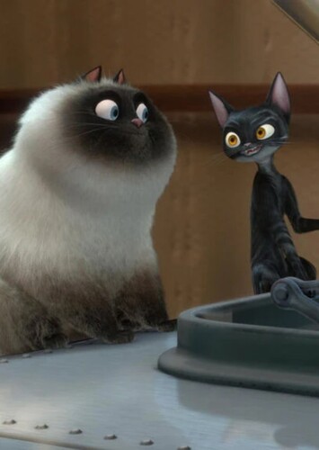 Calico's Cats