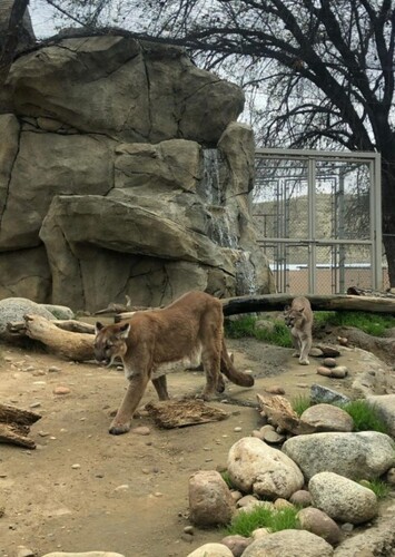 California Living Museum