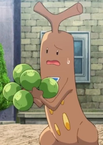 Callahan's Sudowoodo