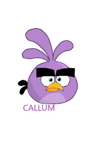 Callum