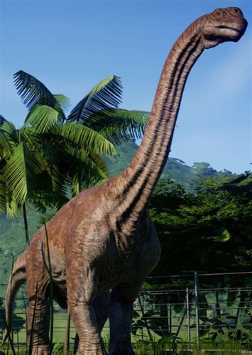 Camarasaurus