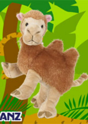 Camel