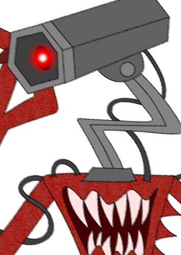 Cameraeye