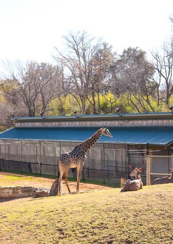 Cameron Park Zoo
