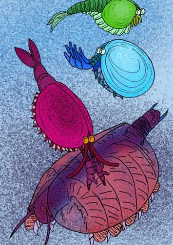Canadaspis