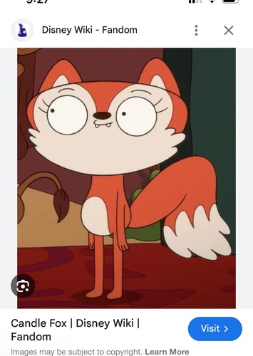 Candle fox