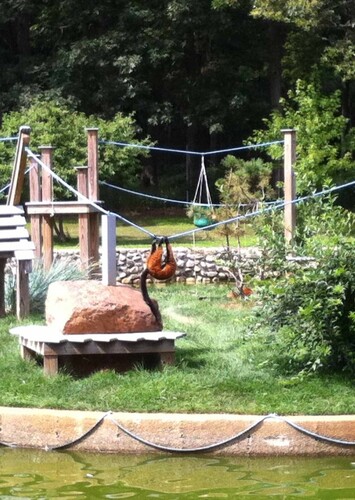 Capron Park Zoo