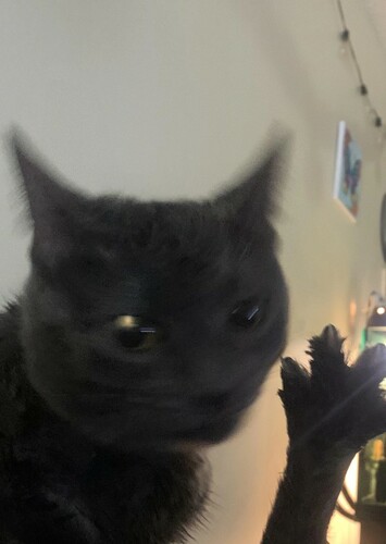Carlos
