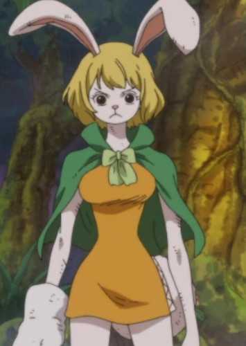 Carrot