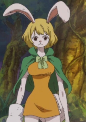 Carrot