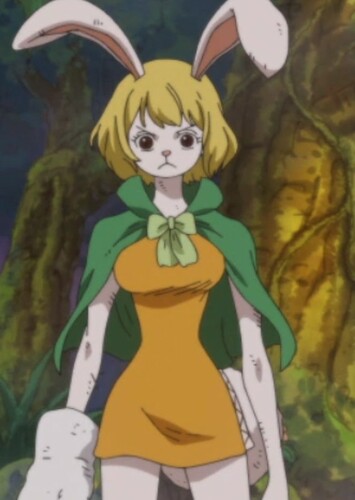 Carrot