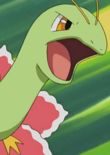 Casey's Meganium (English Dub)
