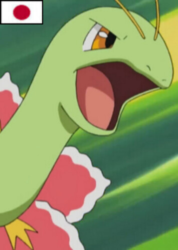 Casey's Meganium (Japanese)