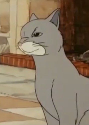 Cat
