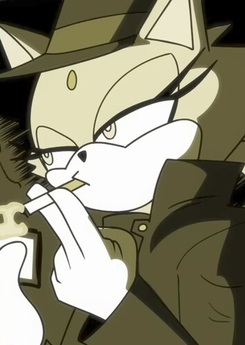 Cat Noir