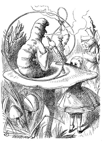 Caterpillar
