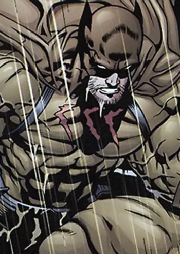 Catman