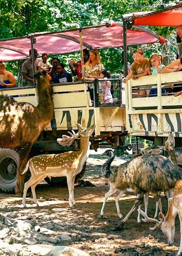 Catoctin Wildlife Preserve and Zoo
