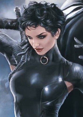 Catwoman Gotham series