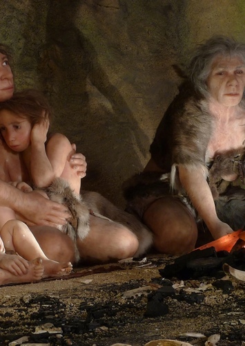 Cave family